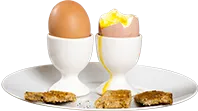 Egg Station