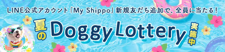 夏のDoggy Lottery